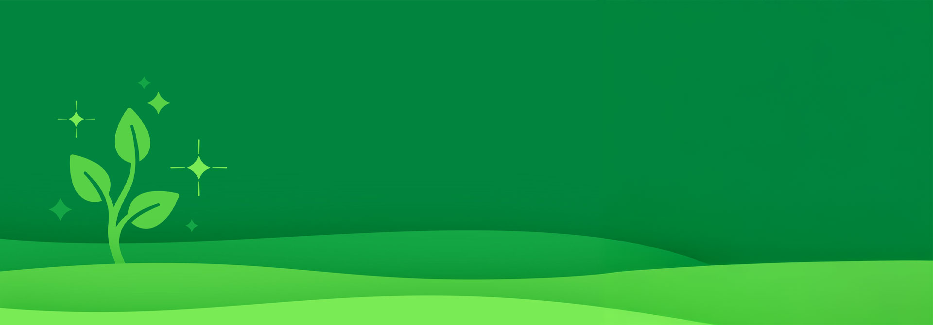 FSNB Fraud Protection